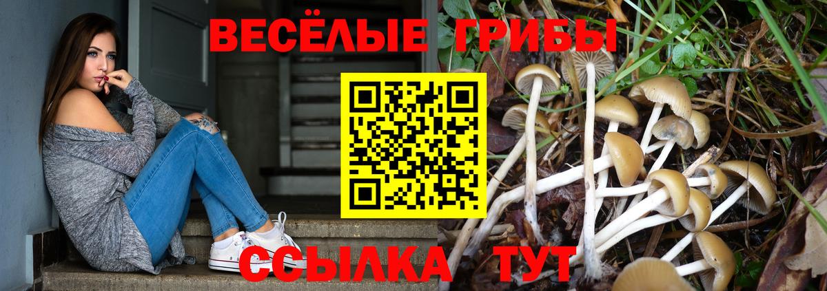 Советск  Псилоцибиновые грибы Magic Shrooms  Вход с VPN 