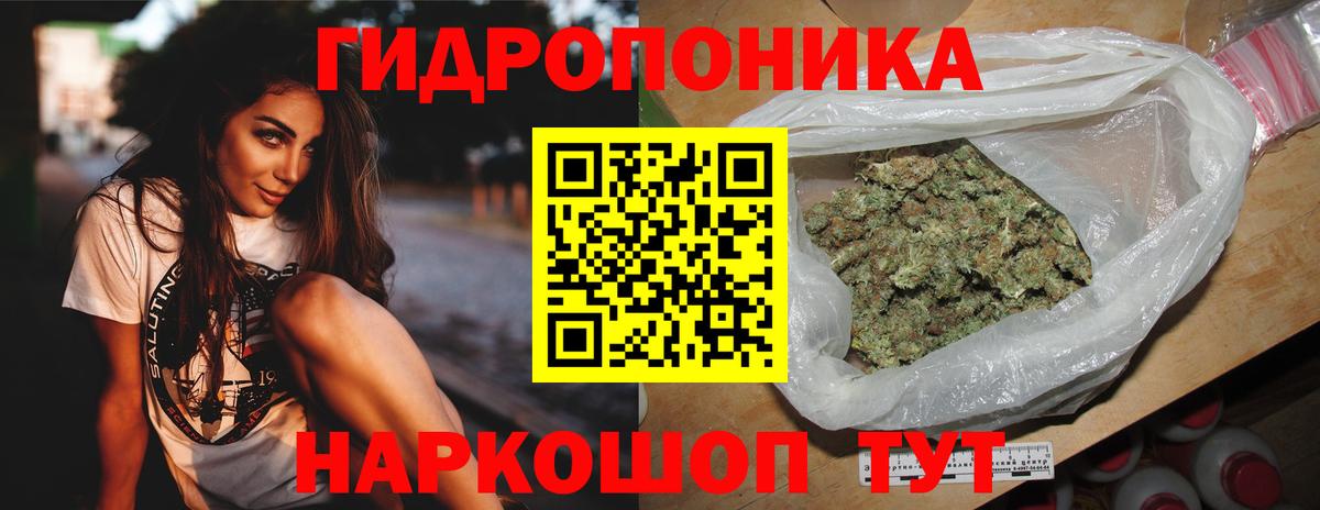 Шишки марихуана сатива  Бошки Шишки план  Советск  Шишки марихуана LSD WEED  Шишки марихуана Amnesia  Вход с VPN 